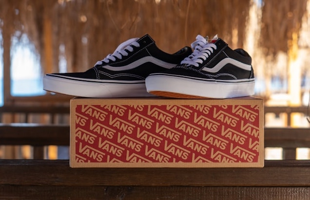 یک مدل کفش vans