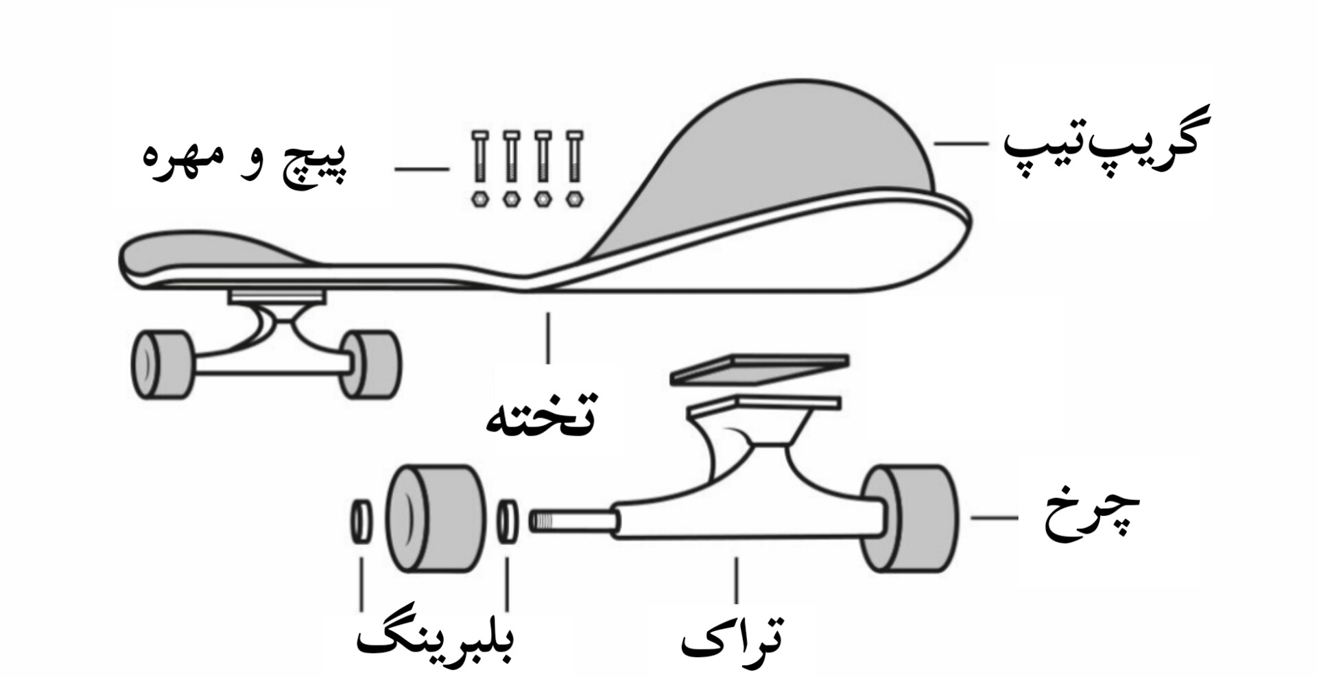 تصویر قطعات تفکیک شده اسکیت برد